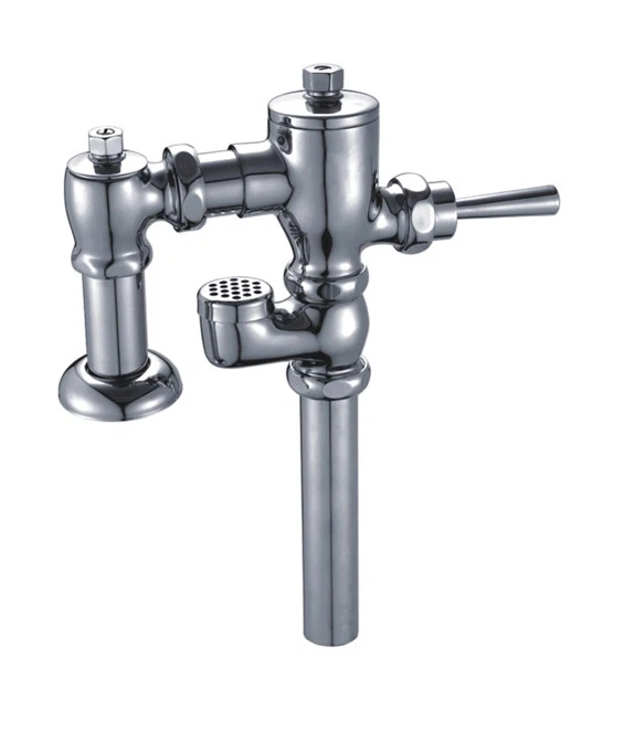 Flush Valve Exposed For Toilet