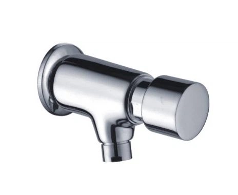 Self Closing Push Taps